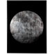 The Moon Charcoal Luxe Art